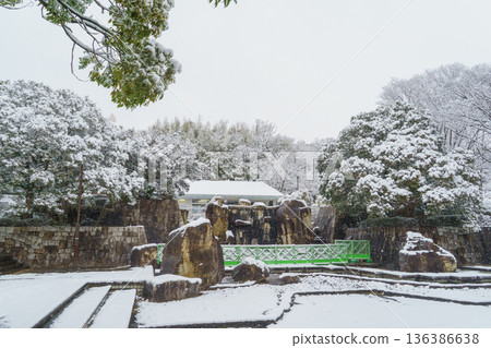 【千葉縣千葉市綠區】雪天的有吉公園 【千葉縣千葉市綠區】雪天的有吉公園 136386638