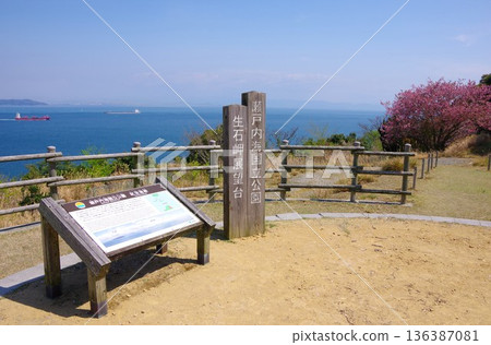 兵庫縣洲本市岩石岬展望台櫻花盛開的景象 兵庫縣洲本市岩石岬展望台櫻花盛開的景象 136387081