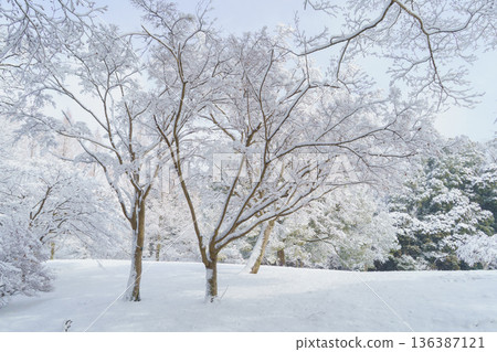 雪景公園 | 泉宮公園，千葉市，千葉縣 136387121