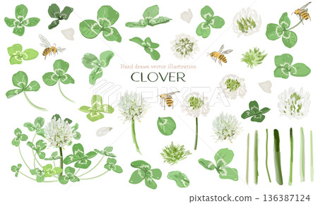 Watercolor clover (white clover) parts material set 136387124