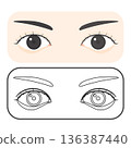 Eye coloring and line vector illustration 136387440