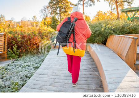 Woman walking on wooden boardwalk with backpack in autumn park. Hiking for health and wellness. Active lifestyle for overweight. 136388416