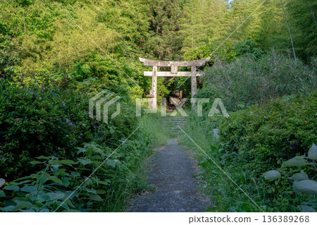 從琴平神社(福津市)眺望第二座鳥居 從琴平神社(福津市)眺望第二座鳥居 136389268