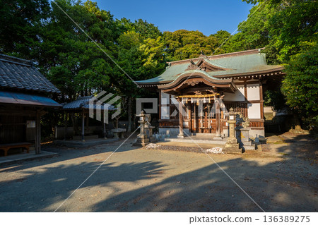 琴平神社(福津市)參拜殿一景 琴平神社(福津市)參拜殿一景 136389275