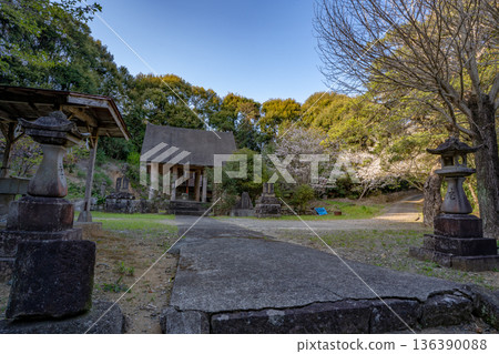 平木神社（阿久根市）的春日景色 136390088