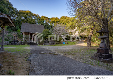 平木神社(阿久根市)的春日景色 平木神社(阿久根市)的春日景色 136390089
