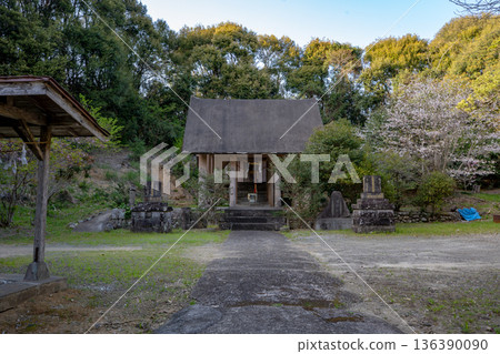 平木神社（阿久根市）的春日景色 136390090