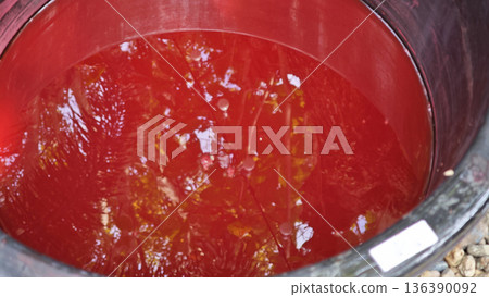 The pink dye derived from lac is used as a natural dye for fabrics using traditional methods. The pink dye derived from lac is used as a natural dye for fabrics using traditional methods. 136390092