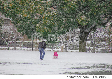 父親在雪地公園和小女孩玩耍 136390859