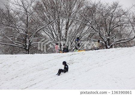 雪地公園是孩子們的遊樂場 136390861