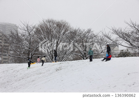 孩子們在雪地公園玩雪橇 孩子們在雪地公園玩雪橇 136390862