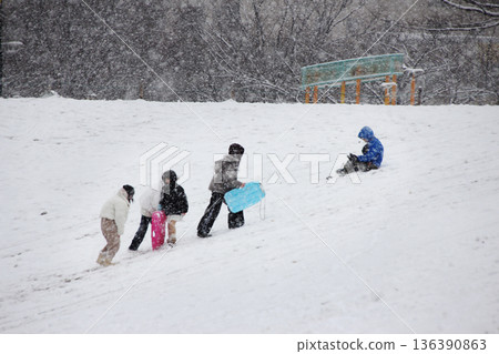 孩子們在雪地公園玩雪橇 孩子們在雪地公園玩雪橇 136390863