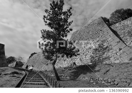 The stone walls of Marugame Castle, the castle with the highest stone walls in Japan 136390992
