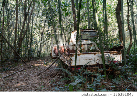 A rusty light truck abandoned in a bamboo forest A rusty light truck abandoned in a bamboo forest 136391043