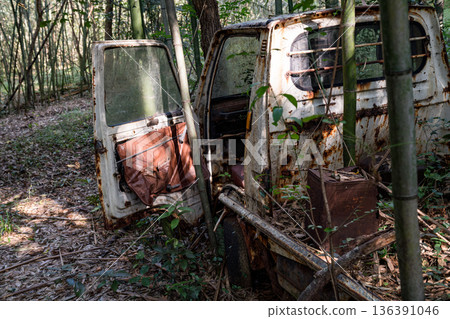 A rusty light truck abandoned in a bamboo forest 136391046