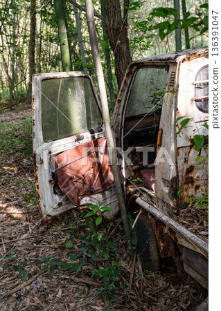 一輛鏽跡斑斑的輕型卡車被遺棄在竹林中 一輛鏽跡斑斑的輕型卡車被遺棄在竹林中 136391047