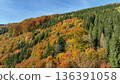 Jeseniky autumn forest autumnus mountain of Spruce Picea and Beech Fagus sylvatica beautiful landscapes nature color season amazing scenic and colorful trees fall of the leaf top shot aerial view 136391058