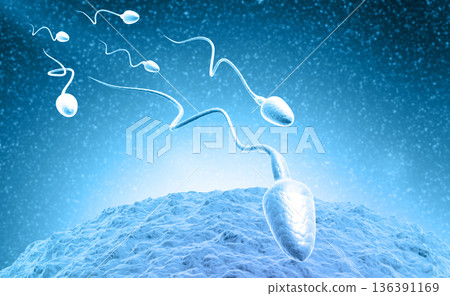 Sperm and egg cell on Scientific background 136391169