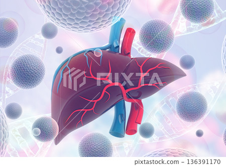 Virus Infection of Human Liver Virus Infection of Human Liver 136391170