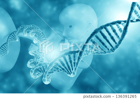 Fetus Dna. Medical background Fetus Dna. Medical background 136391265