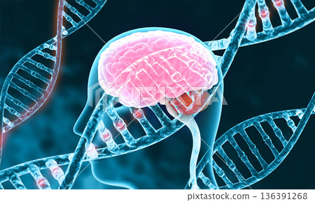 Human brain with dna Human brain with dna 136391268