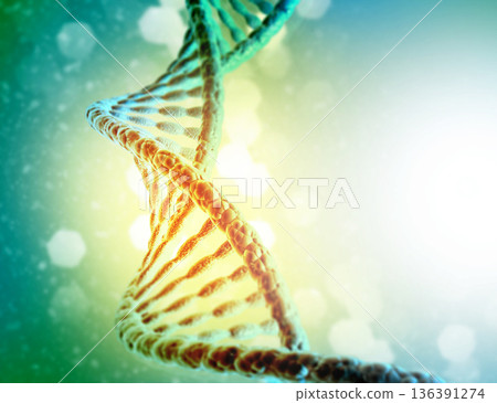 DNA strands on science background DNA strands on science background 136391274