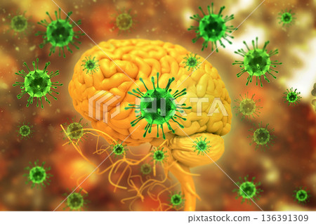 Virus infection on brain 136391309