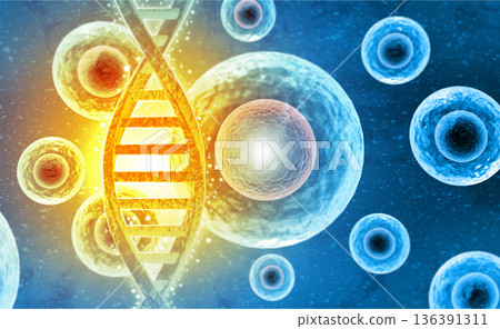 DNA strands on science background DNA strands on science background 136391311