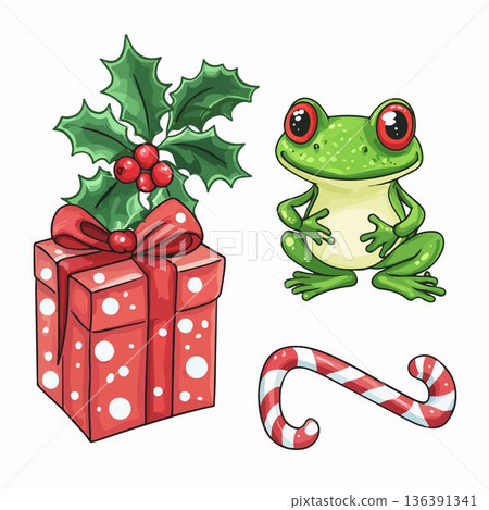 frog with gift box 136391341