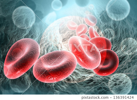 Red blood cells in vein Red blood cells in vein 136391424