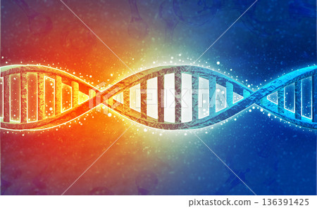 DNA strands on science background DNA strands on science background 136391425