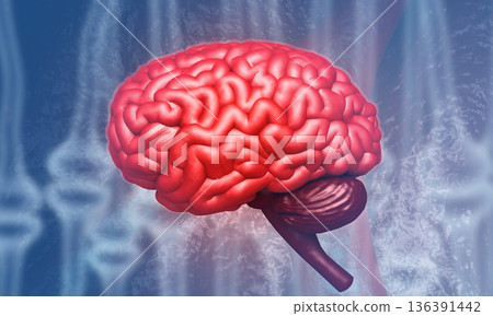 Human brain on science background 136391442