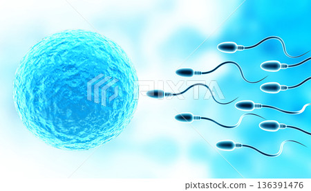 Sperm with egg on abstract medical background 136391476