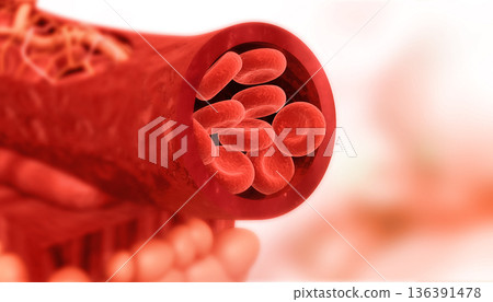 Blood cells in artery 136391478