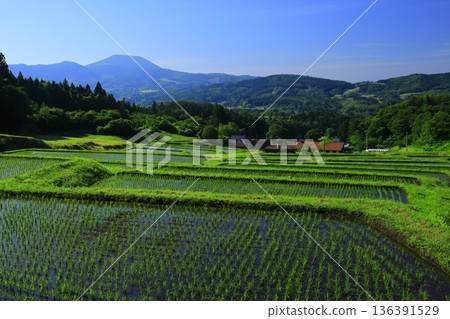 Yamakoshi's Tanada terrace pond 136391529