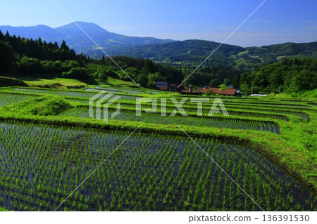 Yamakoshi's Tanada terrace pond Yamakoshi's Tanada terrace pond 136391530