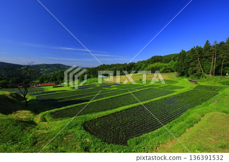 Yamakoshi的Tanada露台池塘 Yamakoshi的Tanada露台池塘 136391532