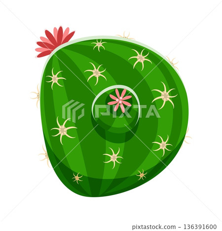 Cacti Mexican plant, cactus font cartoon letter D. Plant leaf font symbol, Mexican cacti typeface vector element. Prickly succulent cartoon typeset sign or desert cactus kids ABC type letter 136391600