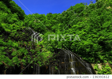 A waterfall surrounded by fresh greenery A waterfall surrounded by fresh greenery 136391612