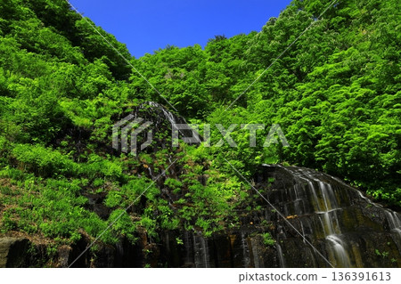 A waterfall surrounded by fresh greenery 136391613