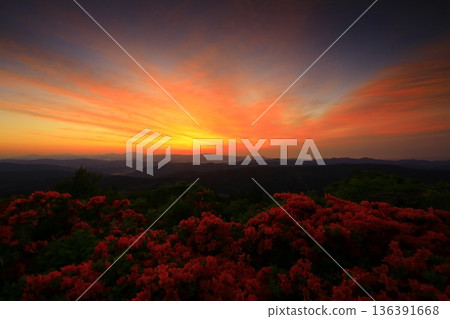 從穆羅內山眺望杜鵑花 從穆羅內山眺望杜鵑花 136391668