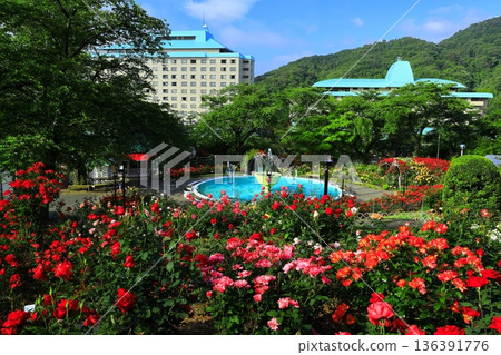 The rose garden in Hanamaki Onsen, where roses bloom in abundance The rose garden in Hanamaki Onsen, where roses bloom in abundance 136391776