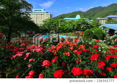 The rose garden in Hanamaki Onsen, where roses bloom in abundance 136391777