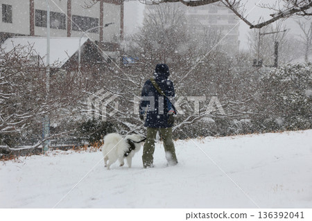 I take my dog for a walk as usual in the snow. 136392041