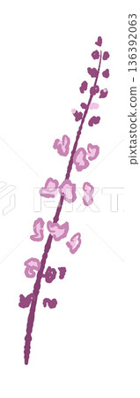 A close-up illustration of red shiso (akako) spikes, used as a garnish for sashimi and as a garnish for other dishes. A close-up illustration of red shiso (akako) spikes, used as a garnish for sashimi and as a garnish for other dishes. 136392063