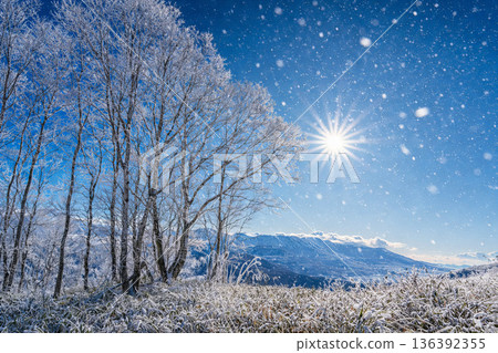Snowy landscape illuminated by the morning sun 136392355
