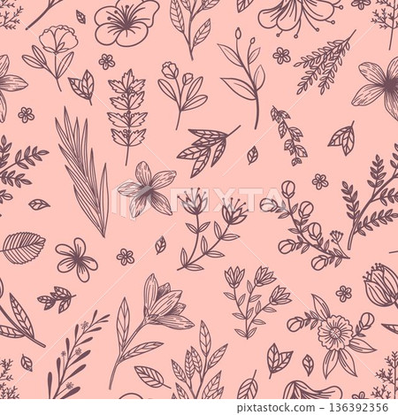 Pink Seamless Botanical Hand Drawn Line Pattern Pink Seamless Botanical Hand Drawn Line Pattern 136392356