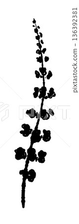 Monochrome illustration and silhouette of the flower spike of shiso (perilla sac) - a plant spike used as a garnish for sashimi or as a decoration Monochrome illustration and silhouette of the flower spike of shiso (perilla sac) - a plant spike used as a garnish for sashimi or as a decoration 136392381