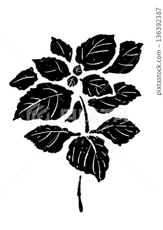 Monochrome illustration of a branched shiso (perilla) plant, silhouette of cultivation and harvest image 136392387