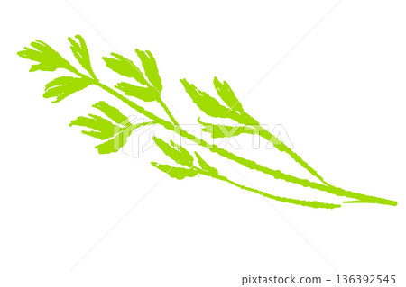 一幅生動的義大利歐芹枝條插圖。是您菜餚的完美點綴或裝飾。 136392545